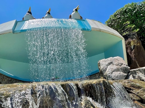 【千葉県】入園料900円で1日遊べる！ 噴水ショーが人気の温浴テーマパークも。この夏行きたい親子お出かけスポット3選