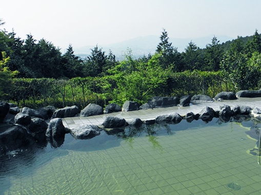 【静岡県の人気スーパー銭湯】「富士山 天母の湯」は富士山の麓で薬湯と森林浴が楽しめる日帰り温浴施設。絶景露天風呂と週替わりの薬草風呂でリラックス