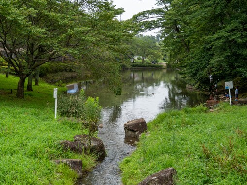 【千葉県】夏休みの親子おでかけに！ 滝つぼダイブ＆渓流あそびで涼める川遊びスポット3選