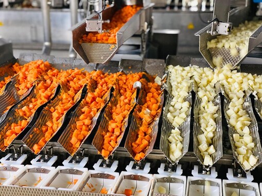 【静岡県】すべて入場無料！ カレー・お菓子・グランドピアノができるまでを学べる工場見学3選