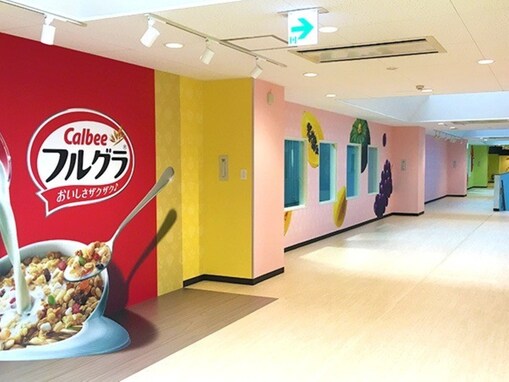 【栃木県】すべて入場無料！ 「かっぱえびせん」に「フルグラ」も。親子で行きたい工場見学3選