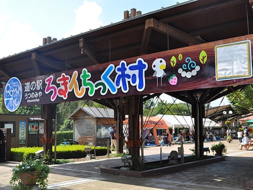 500円から遊べる！ 栃木県で「親子で行きたい夏休みスポット」3選 。42種類の体験教室に、屋外プールも