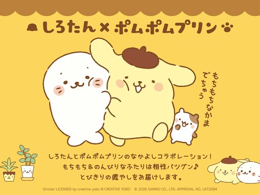 「しろたん×ポムポムプリン」夢のコラボ実現！ キーホルダーやTシャツ、抱き枕など全6種が7月31日登場