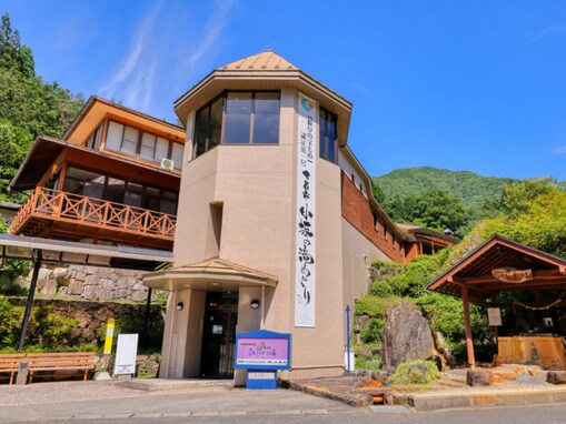 【岐阜県の人気日帰り温泉】「巌立峡 ひめしゃがの湯」は全国的にも珍しい天然炭酸泉とロウリュが楽しめる施設。源泉そのまんま風呂でリラックス
