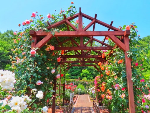 【広島県】まるで観光地！ 宮島を望む絶景SA・西日本初のガンダム立像・約800本のバラ園。高速道路SA2選
