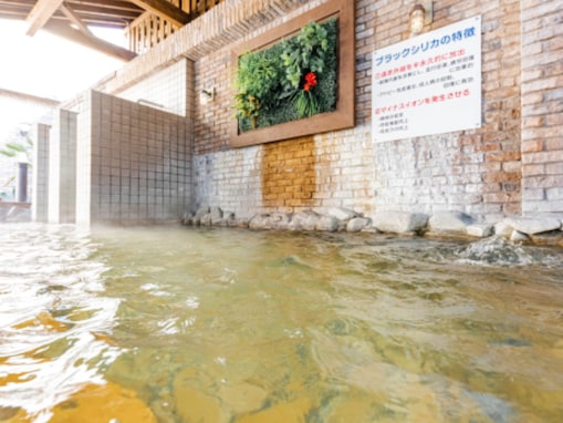 【岐阜県の人気スーパー銭湯】「アクアリゾート岐阜ふじの湯」はオートロウリュウやナノ水水風呂が魅力の温浴施設