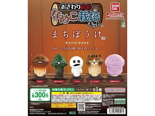【最新ガチャ情報】300円・なめこから原始なめこまで！ 2026年8月発売「なめこ栽培キット まちぼうけ」全5種が見逃せない