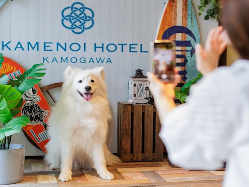 鴨川・八街・舞浜で愛犬旅！ ペット同宿可の複合リゾートも。愛犬と行きたい「人気ホテル」3選【千葉県】