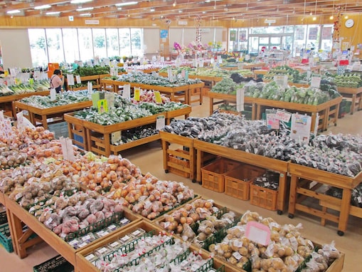 【神奈川県】湘南帰りに立ち寄れる産直市場から、名物「うでピー」が買える直売所まで！ ファーマーズマーケット2選