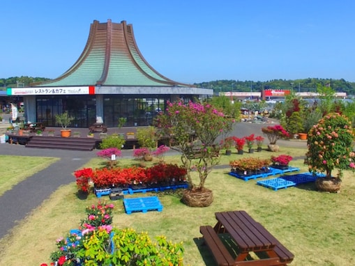「道の駅なのに洋食が絶品すぎる」と話題の道の駅＆食育ソムリエ在籍の直売所も。千葉県のファーマーズマーケット2選