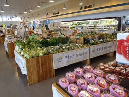 【宮崎県】年間約10万人が来店した直売所に、揚げたて「ガネ」の対面販売も！ ファーマーズマーケット2選