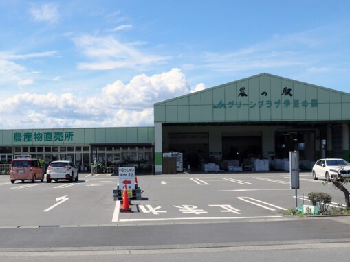 【静岡県】浜名湖東部の切花がところ狭しと並ぶ直売所に、伊豆の国市の交流拠点も！ ファーマーズマーケット2選