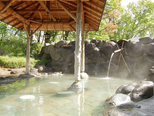 薬莱山を望む露天風呂に、大浴場の寝湯・打たせ湯・高温サウナ。宮城県の人気日帰り温泉「やくらい薬師の湯」の魅力とは