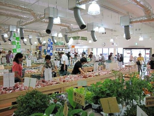 【京都府】府内最大級の直売所に、丹波くりや万願寺甘とうが並ぶ人気施設も。ファーマーズマーケット2選