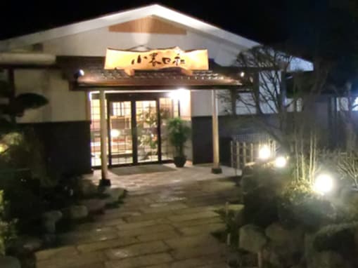 【埼玉県の人気日帰り温泉】「見沼天然温泉 小春日和」は質の高い強塩温泉とナノ水素岩盤浴が魅力。源泉掛け流しの湯で身体の芯までぽかぽかに