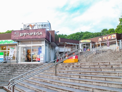 【富山県】富山駅前の名店「白えび亭」の天丼に、越中富山の薬にちなんだ銘菓も！ 北陸道で立ち寄りたいSA・PA3選