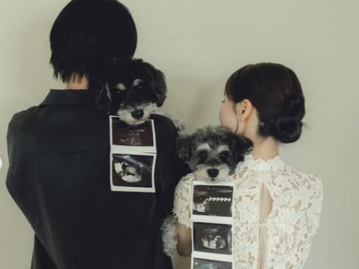 「新しい命を授かりました」人気YouTuber、ドレス姿のマタニティフォトを公開「嬉しいです。泣きそう」
