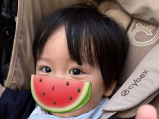 「お兄ちゃんハチワレに似てる」中川翔子、双子息子とのお散歩ショット公開！ 「絶対モテますね」