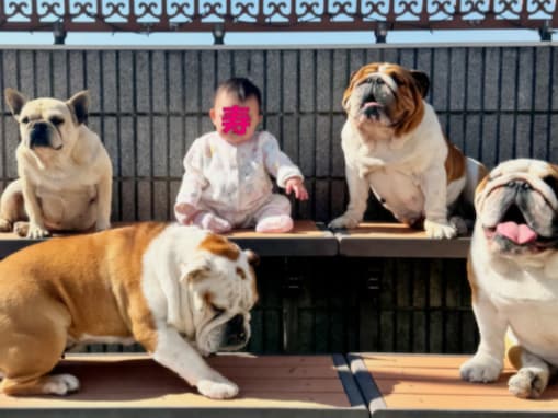 「ホントに大きくなりましたね」北斗晶、愛犬に囲まれた孫の姿に反響「すくすくと成長してて嬉しいですね」
