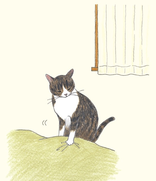 画像出典：『猫のいる家に帰りたい』（仁尾智・著、小泉さよ・イラスト／辰巳出版）