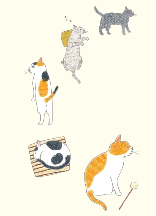 画像出典：『猫のいる家に帰りたい』（仁尾智・著、小泉さよ・イラスト／辰巳出版）