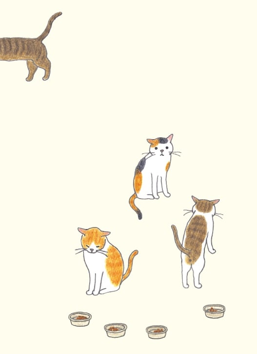画像出典：『猫のいる家に帰りたい』（仁尾智・著、小泉さよ・イラスト／辰巳出版）