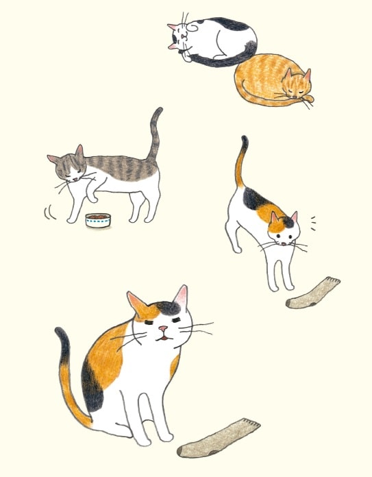 画像出典：『猫のいる家に帰りたい』（仁尾智・著、小泉さよ・イラスト／辰巳出版）