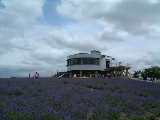 日の出ラベンダー園（2）