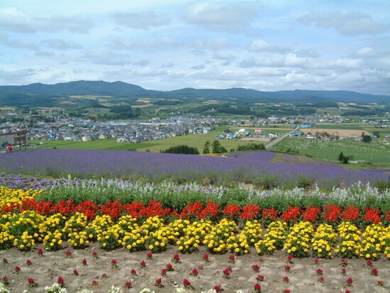 日の出ラベンダー園（3）