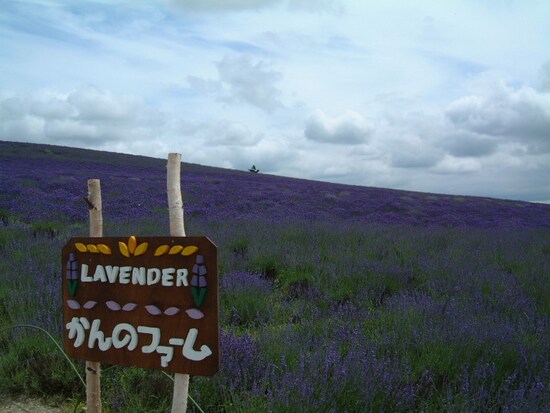 かんのファーム（1）