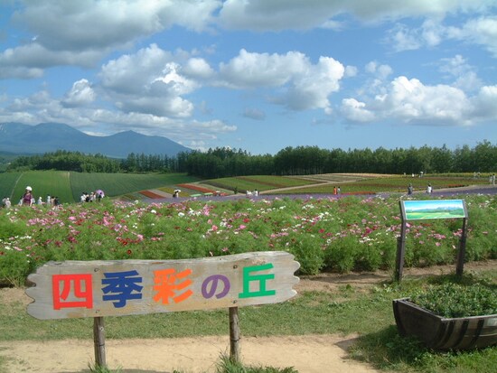 四季彩の丘（1）