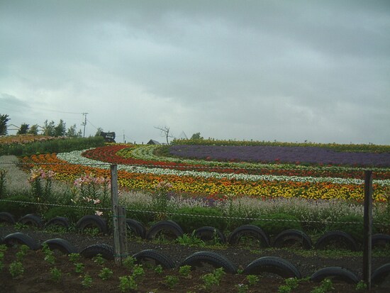 ぜるぶの丘（2）