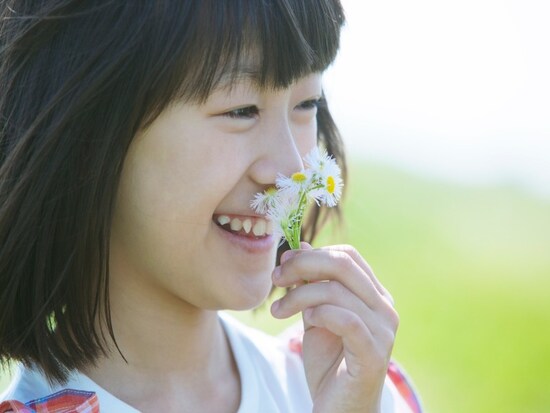 押し花の簡単作り方