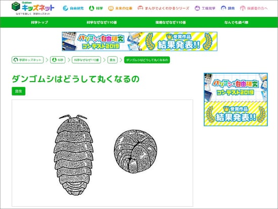 Gakkenキッズネット ダンゴムシはどうして丸くなるの