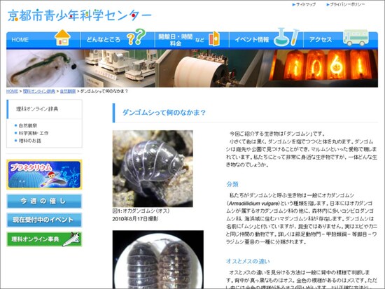 京都市青少年科学センター ダンゴムシって何のなかま？