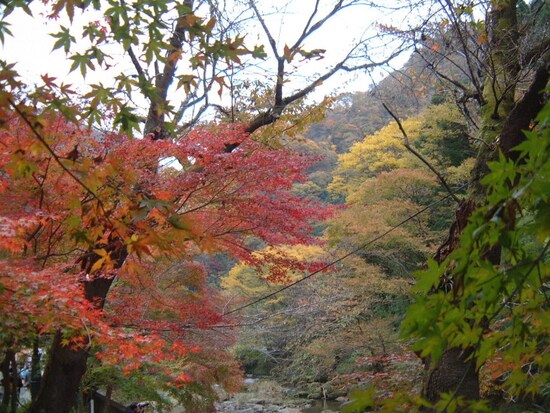 袋田の滝周辺の紅葉（2）