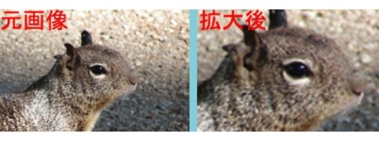 拡大の際、単純に画素を水増しすると、不鮮明に見える。