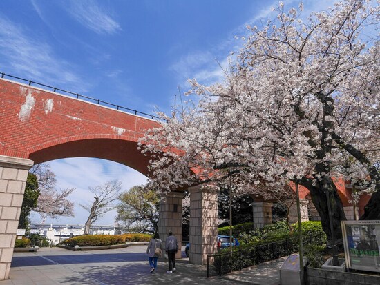 港の見える丘公園から神奈川近代文学館のほうに歩いていくとサクラが咲く風景に出会えます（2019年4月5日撮影）