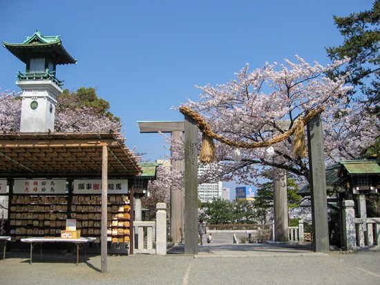 春の伊勢山皇大神宮は薄ピンク色に染まっています（2012年4月9日撮影）