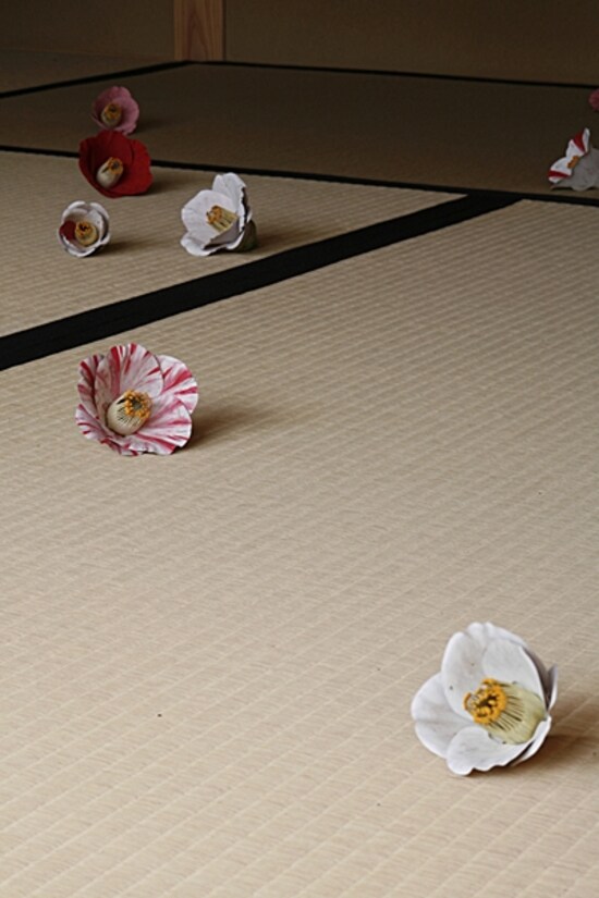 家プロジェクト「碁会所」 須田悦弘“椿” 写真：渡邉修