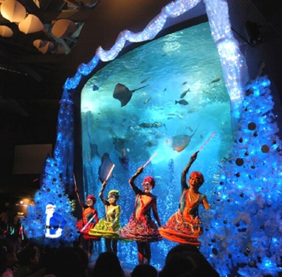 新江ノ島水族館