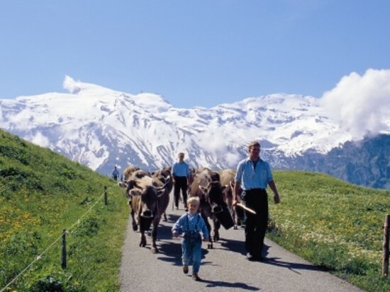 スイスの酪農イメージ