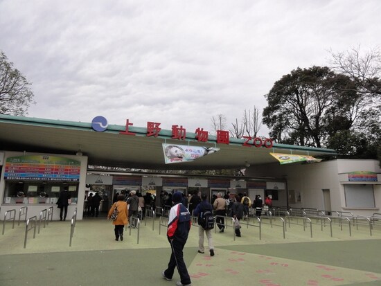 中に入ると、パンダ舎の前はちょっとした行列ができていた。