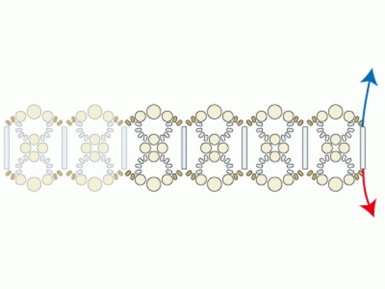 パールとブレードのチョーカー