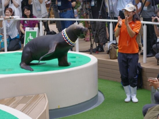 サンシャイン水族館