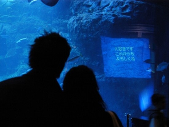 新江ノ島水族館