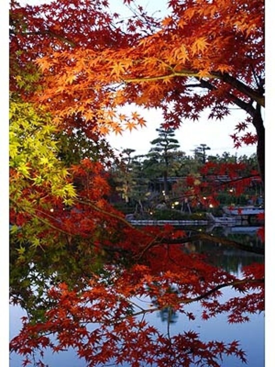 徳川園