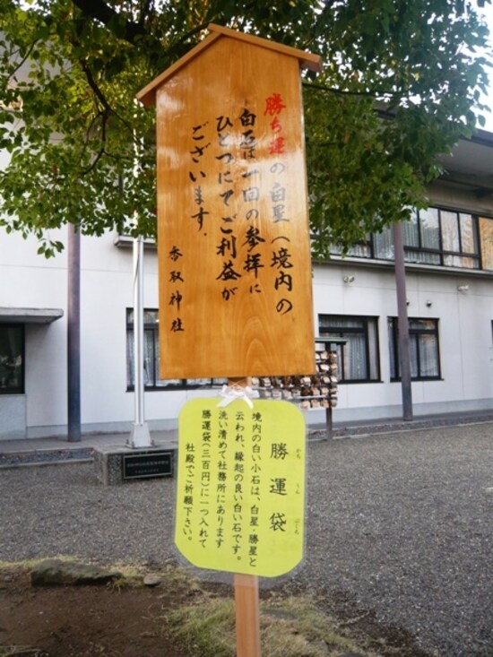 境内の白い石