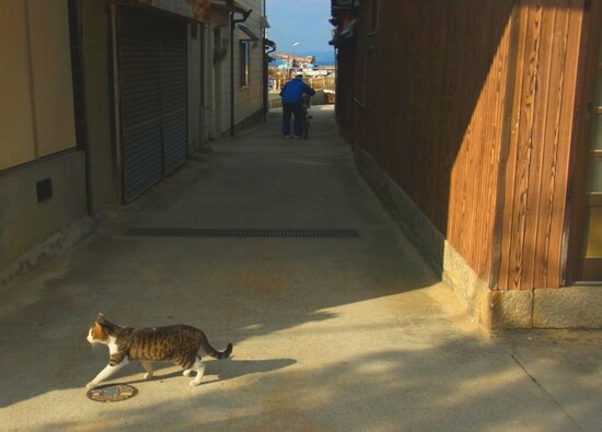 真鍋島