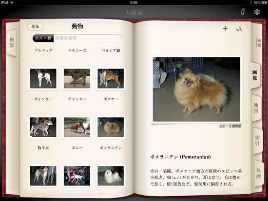 25万3500語を載録する本格的な百科事典＋国語辞典アプリ「デジタル大辞泉」